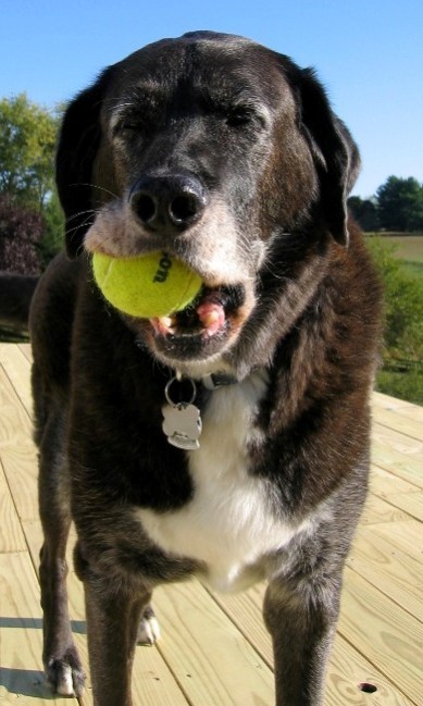 Farley holding a tennis ball