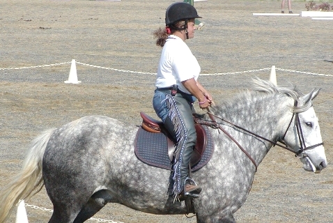 Curly doing a Dressage test during Summer Camp.