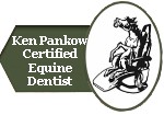 Ken Pankow, Certified Equine Dentist