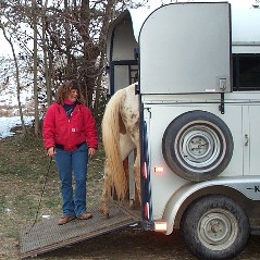 Loading pinto pony along driveway.