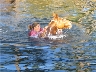 Swimming with a horse in a NC lake in January.