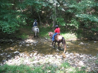 Two horses and riders crossing a stream.